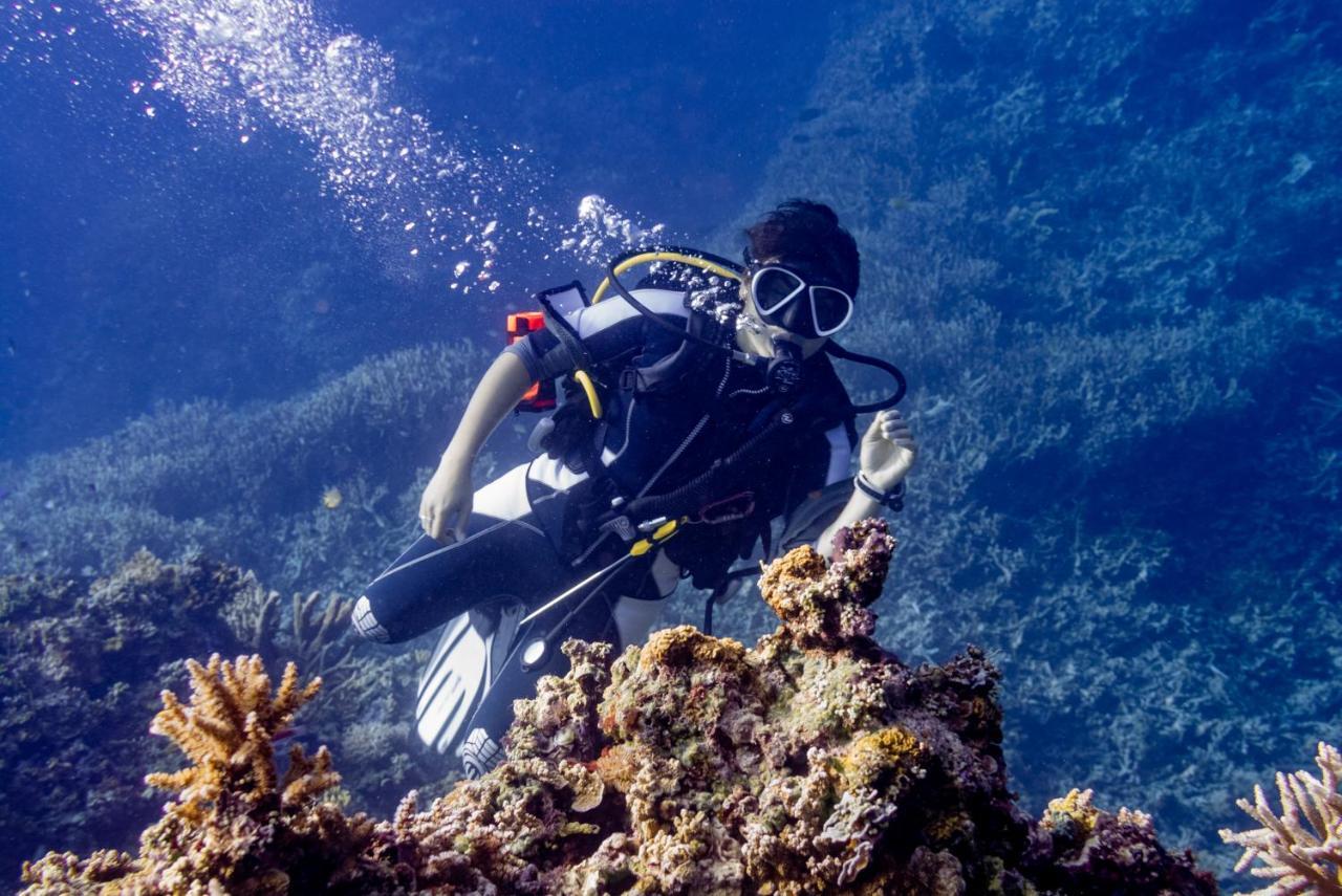 Reconnect - Private Island & Dive Center Togean - Buka Buka Island Ampana