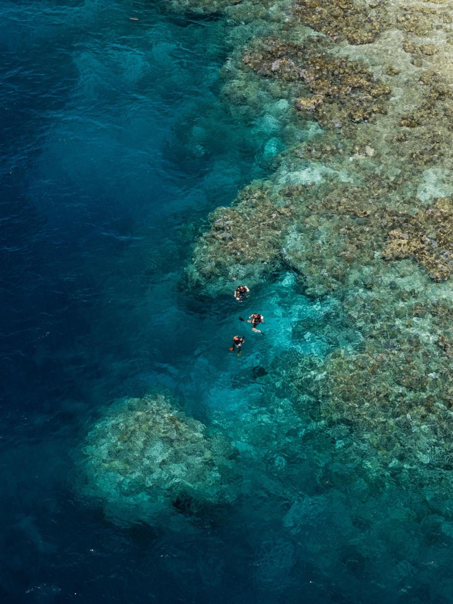 Reconnect - Private Island & Dive Center Togean - Buka Buka Island