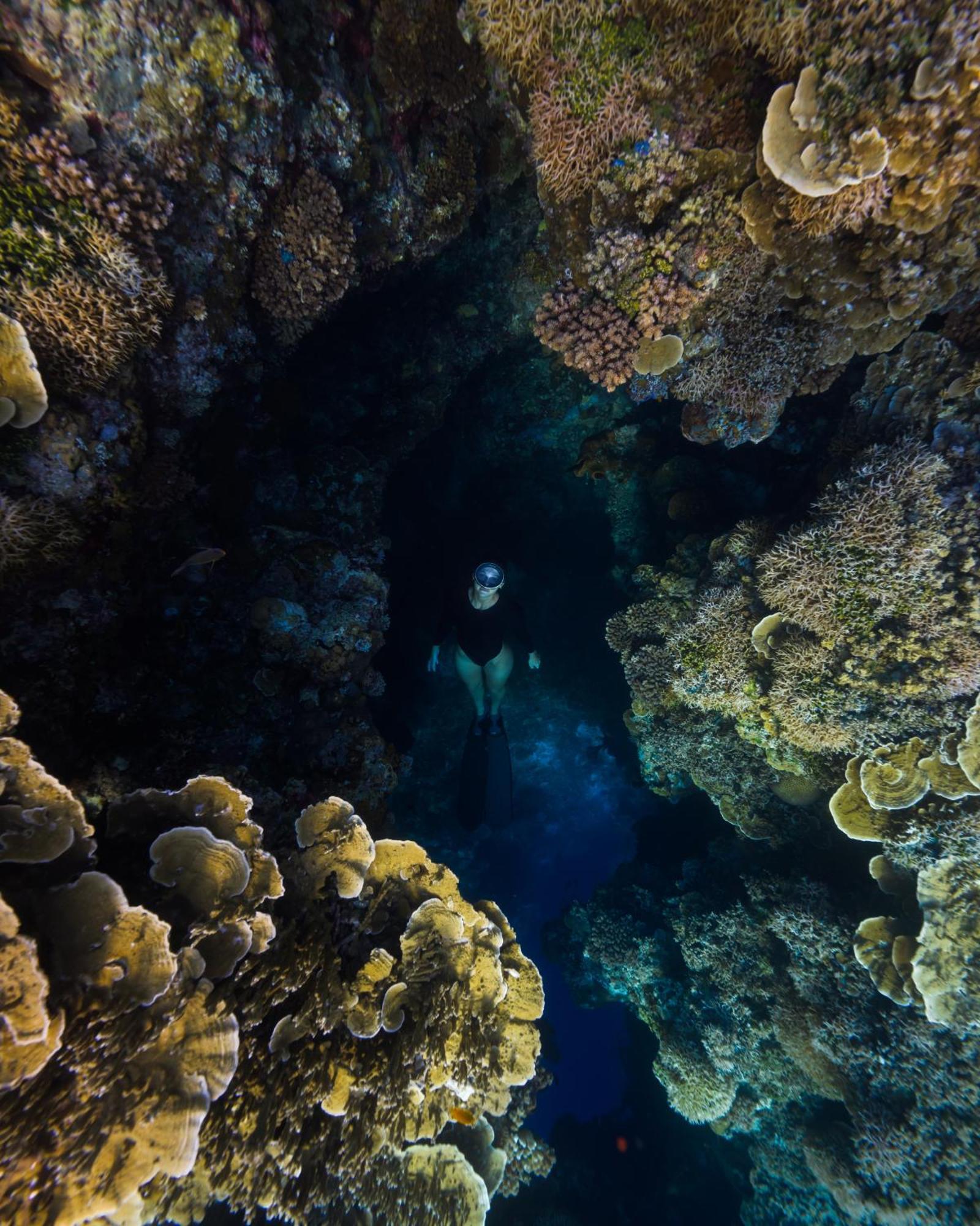Reconnect - Private Island & Dive Center Togean - Buka Buka Island Resort Ampana