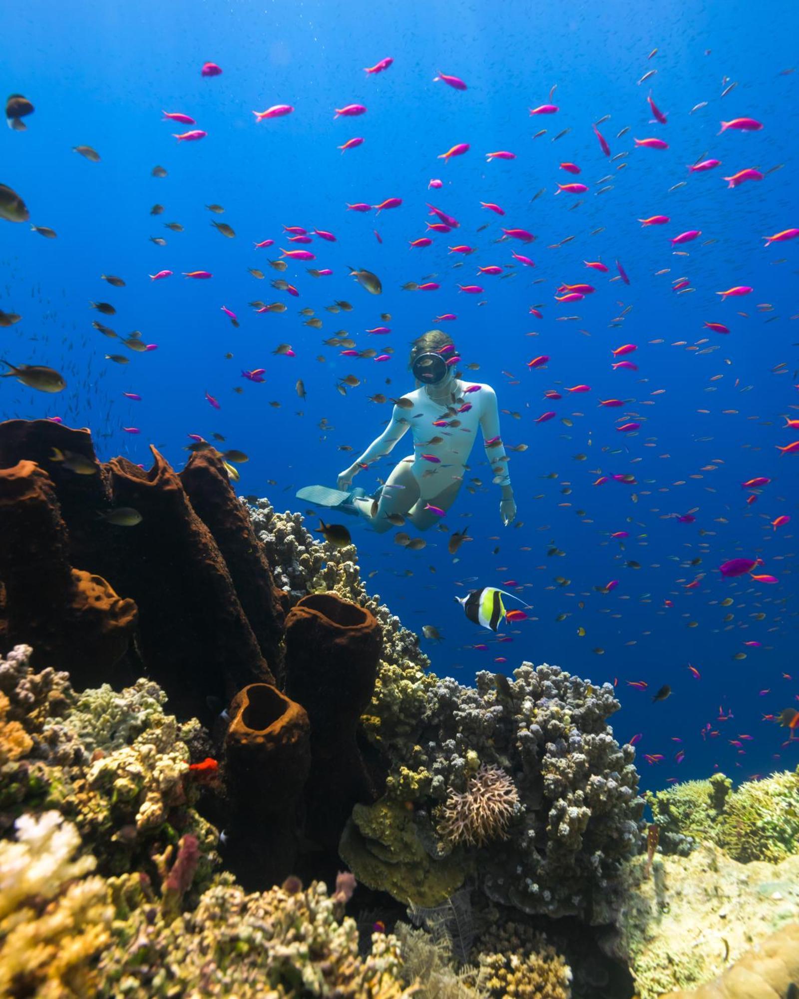 Reconnect - Private Island & Dive Center Togean - Buka Buka Island